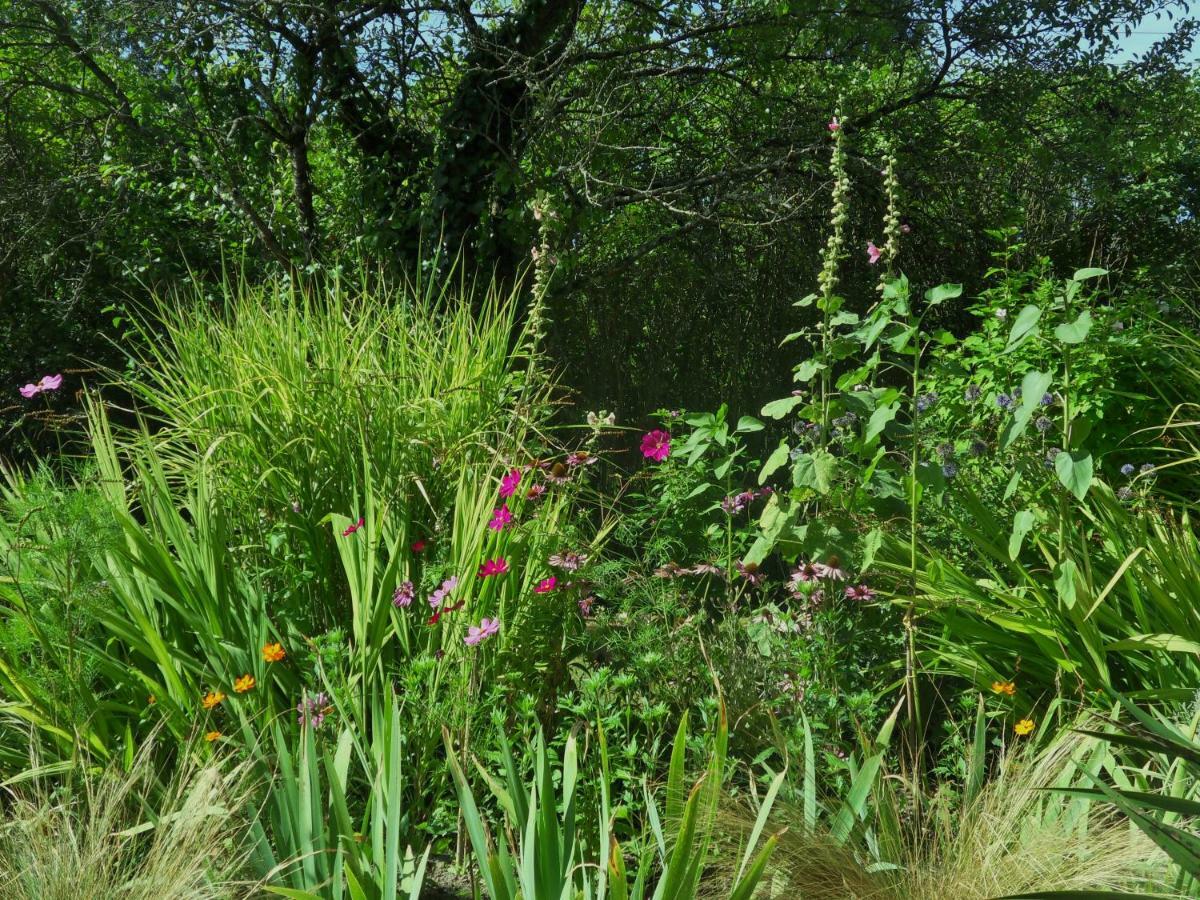 Bed and Breakfast Troglodelice Azay-le-Rideau Esterno foto