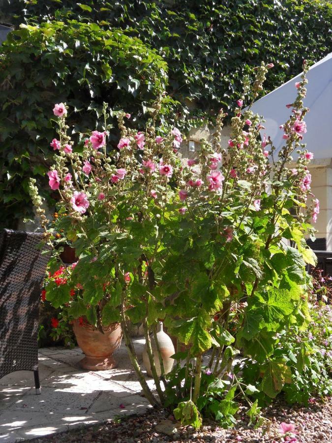 Bed and Breakfast Troglodelice Azay-le-Rideau Esterno foto