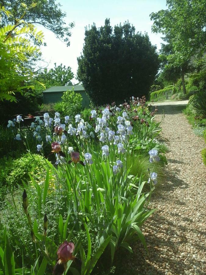 Bed and Breakfast Troglodelice Azay-le-Rideau Esterno foto